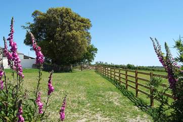 The shared lawn is fenced off from the farmland.