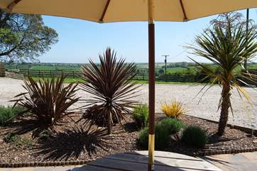 The view from the patio.