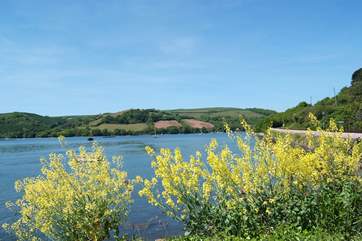 Up river on the River Dart.