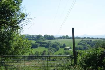 The owner's field is behind the cottage, ideal for running the dog.