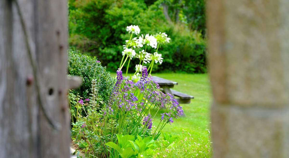 Take a peek through the garden gate.