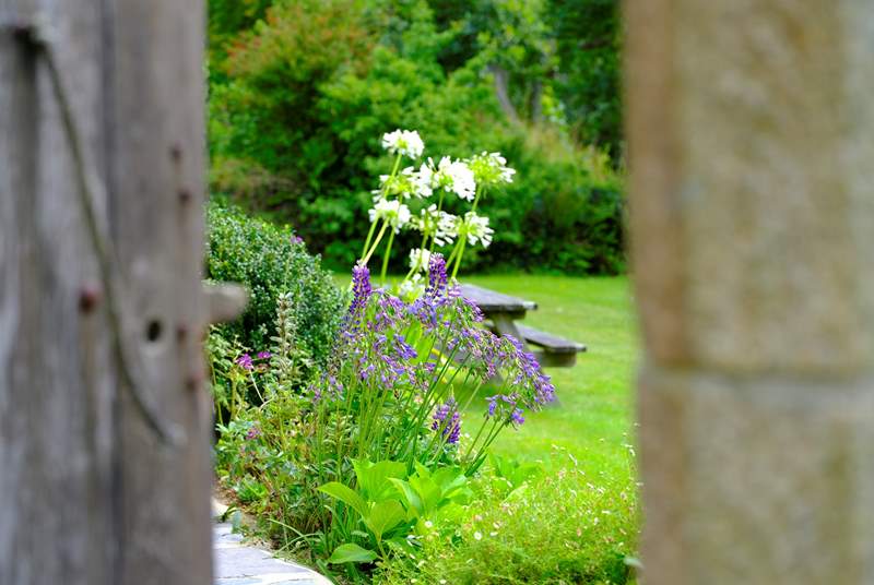 Take a peek through the garden gate.