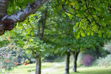 The grounds are quite beautiful.