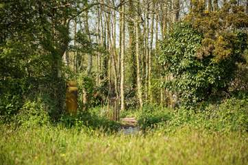 The woodlands are yours to explore but please take care as the ground may be uneven in places.