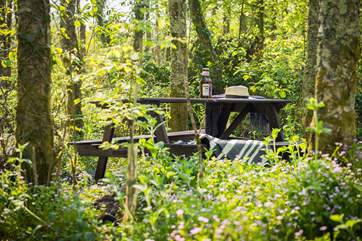 Take a picnic with you into the woods and follow the paths to the secluded seating place.