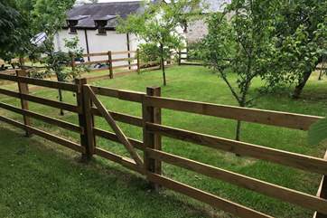 The orchard is a lovely place to sit out and enjoy the best of the Cornish sunshine