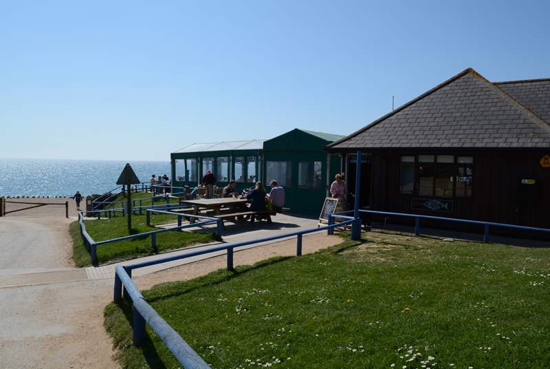 The Hive beach cafe at Burton Bradstock is well worth a visit for delicious seafood, or cakes and ice cream.
