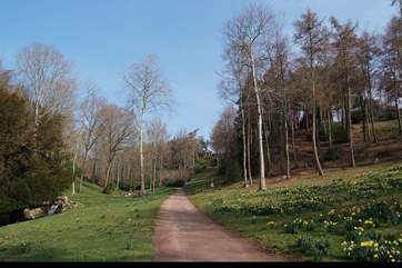 Hestercombe Gardens on the outskirts of Taunton offers lakeside and woodland walks, as well as a cafe and gift shop.