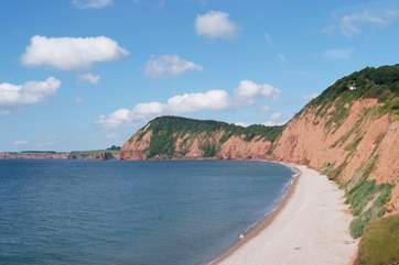 The east Devon coast is just under an hour's drive away - excellent for a full day out.