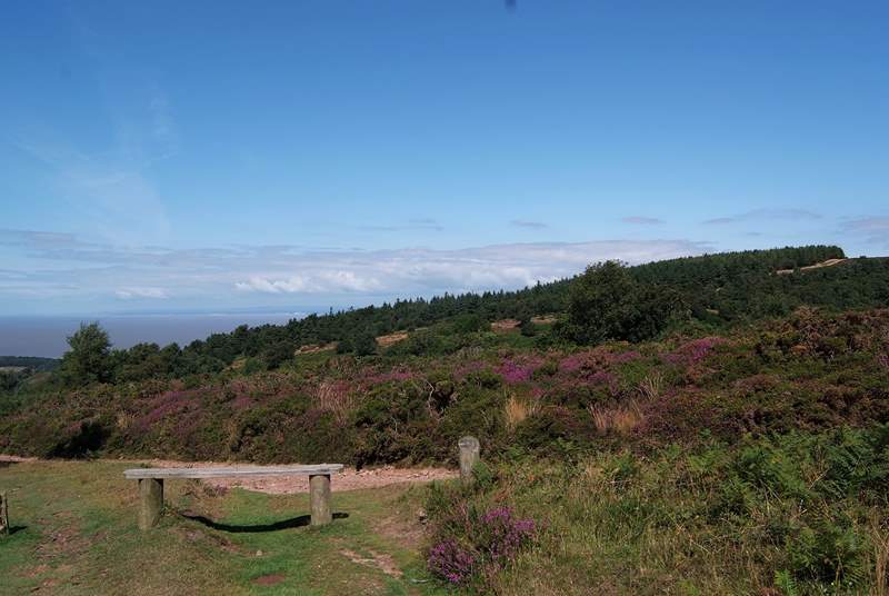 This is the amazing view from the top of the Quantock Hills at West Quantoxhead - overlooking the Bristol Channel to South Wales!