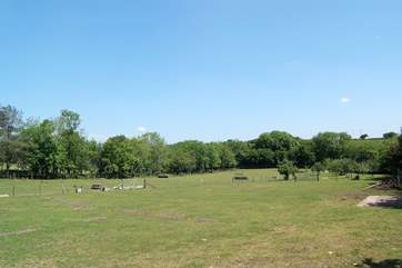 The Owners' paddock beyond the parking-area, where their ponies are usually kept.