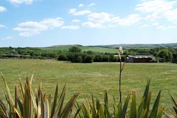 The countryside view from the cottage.