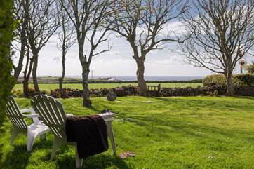 This huge garden is all for you.