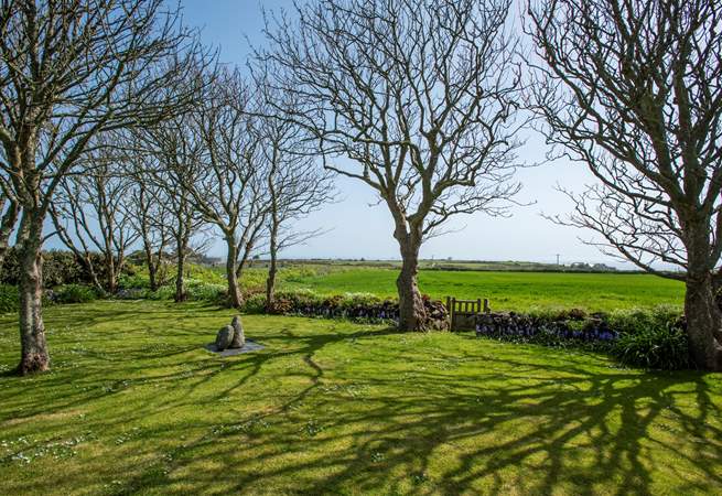 The spacious garden has sun for most of the day.