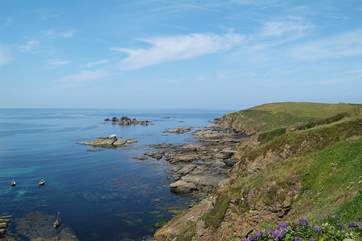 An exhilarating walk westwards along the coast path will take you to Kynance Cove.