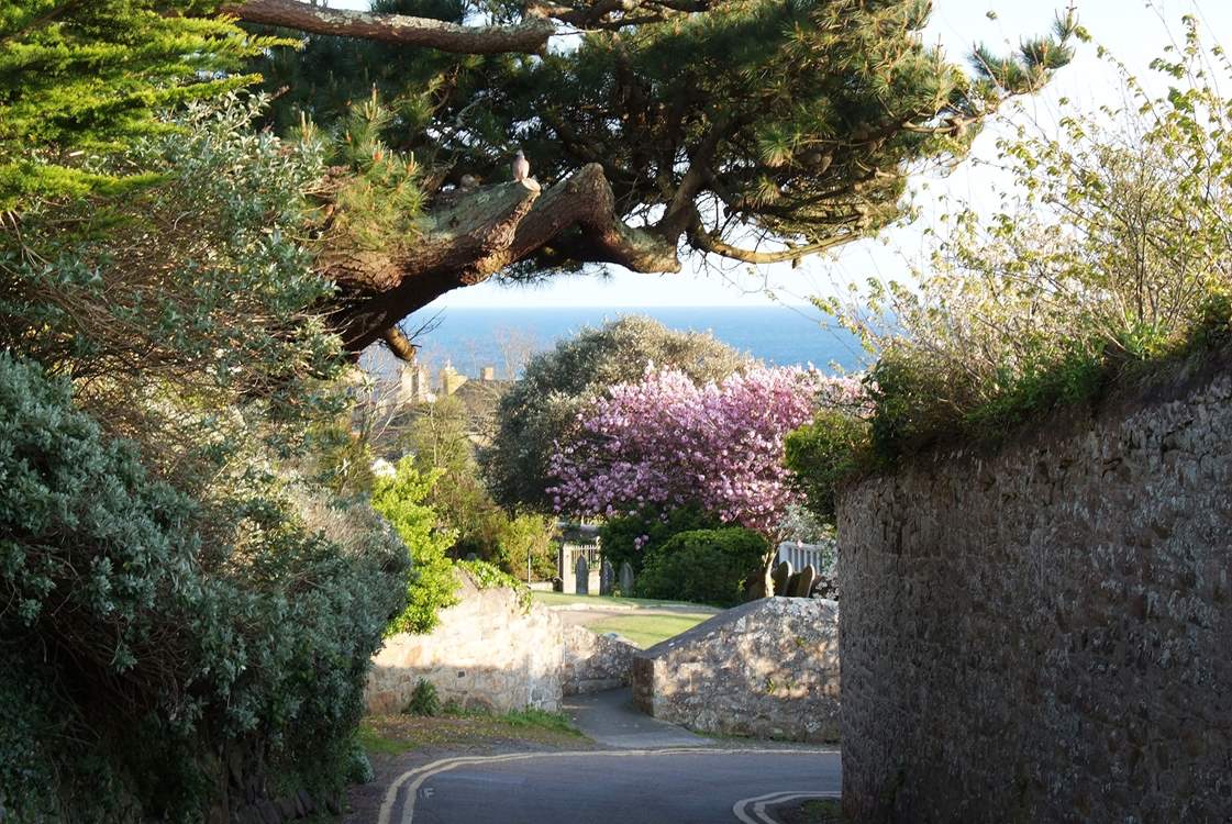 The view from the driveway.
