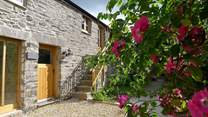 Welcome to Fig Tree Cottage.