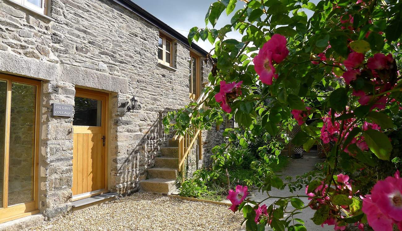 Welcome to Fig Tree Cottage.