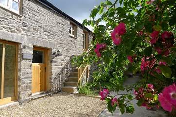 Welcome to Fig Tree Cottage.