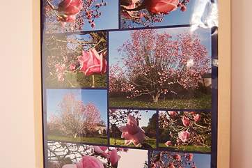 The owner is a keen photographer and samples of her work are found in the cottage.