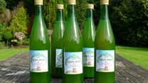 Freshly pressed Tuell Farm apple juice.