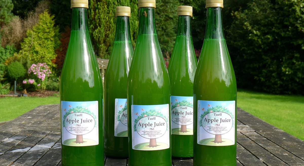 Freshly pressed Tuell Farm apple juice.