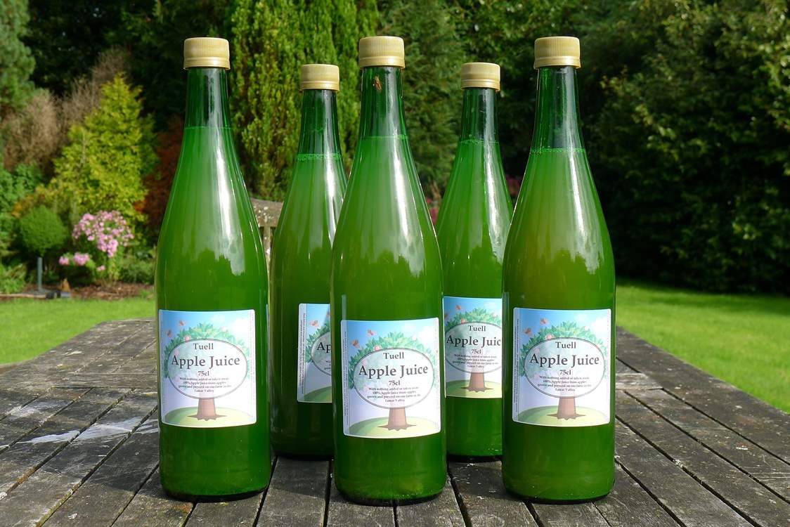 Freshly pressed Tuell Farm apple juice.