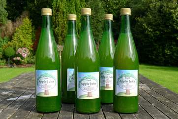 Freshly pressed Tuell Farm apple juice.