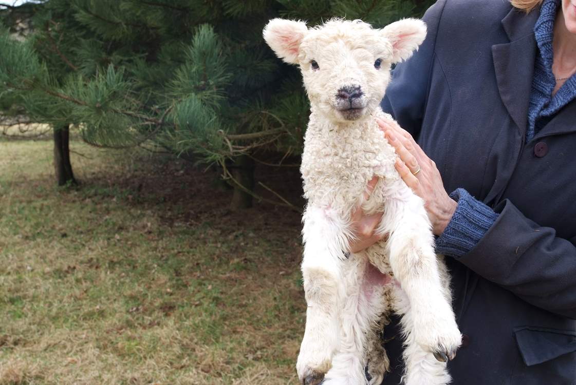 Only a couple of weeks old.