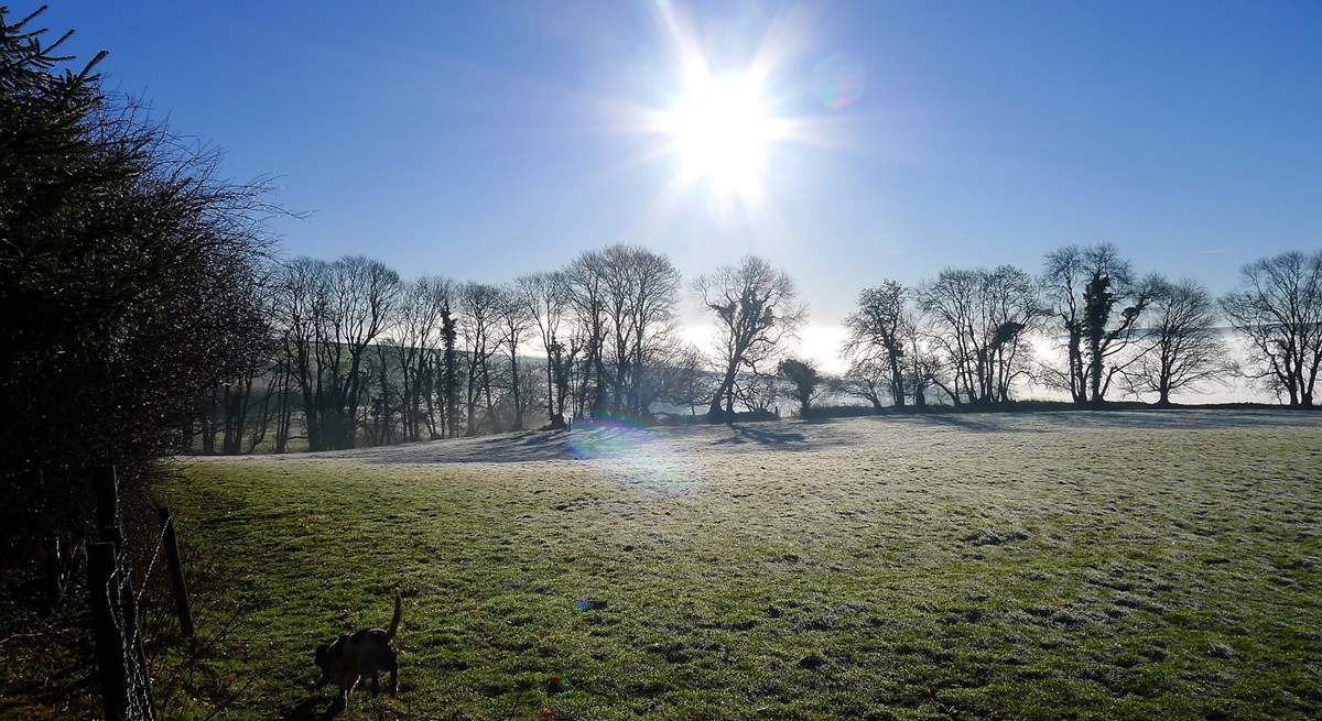 Sun on a misty morning looking towards the Tamar Valley.