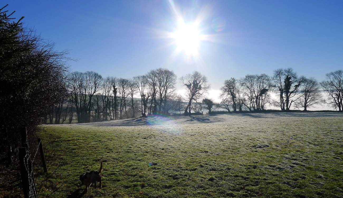 Sun on a misty morning looking towards the Tamar Valley.