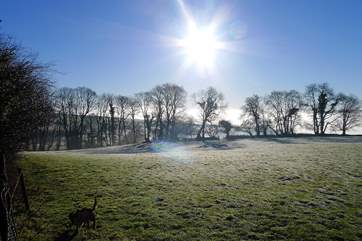 Sun on a misty morning looking towards the Tamar Valley.
