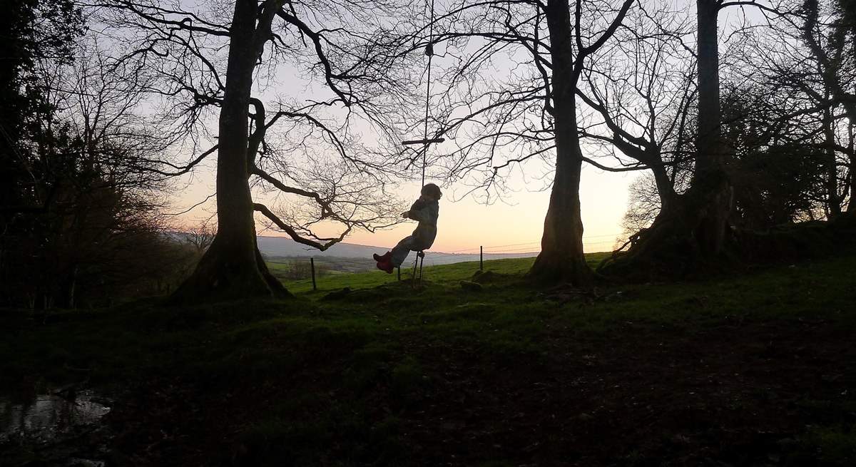 Kids can enjoy the rope swing over the stream (under supervision of course).