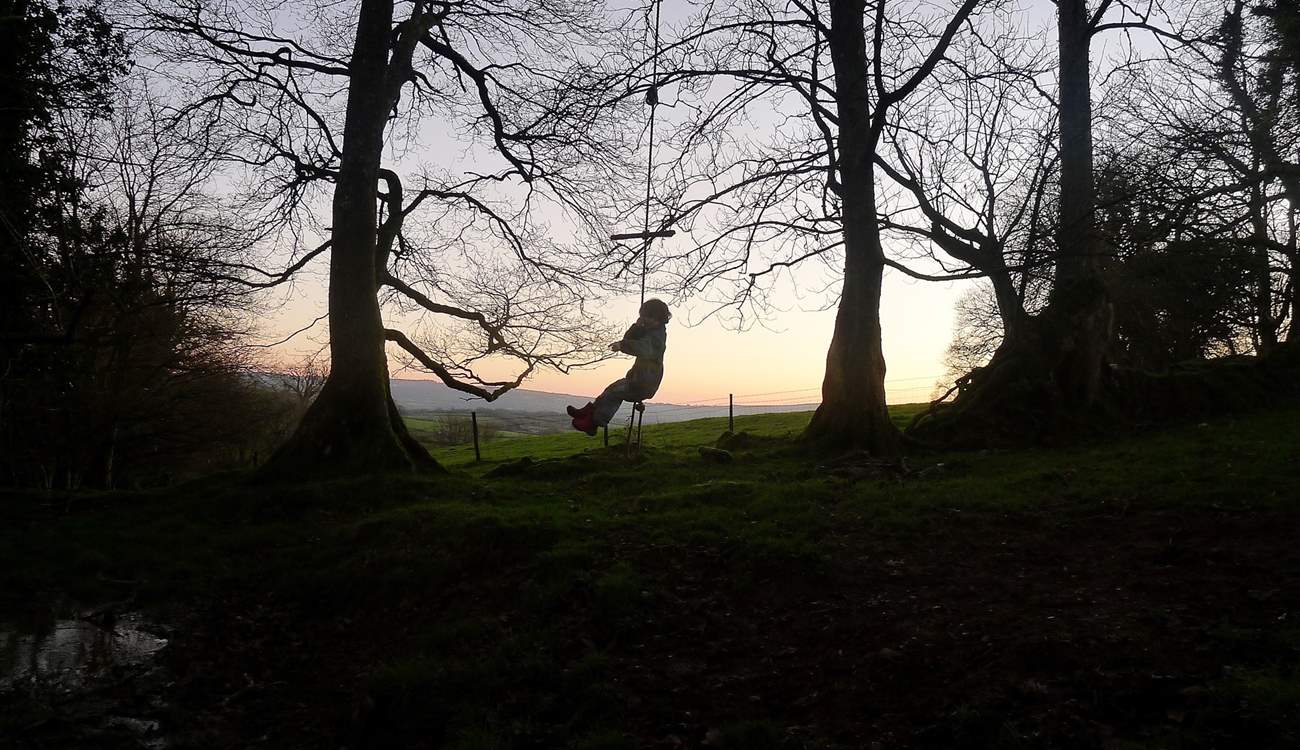 Kids can enjoy the rope swing over the stream (under supervision of course).
