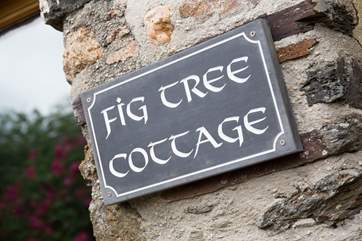 Welcome to Fig Tree Cottage.