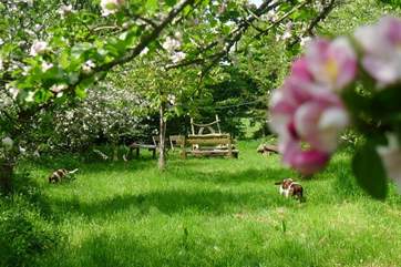 Tucked away, this little spot is perfect for a picnic.