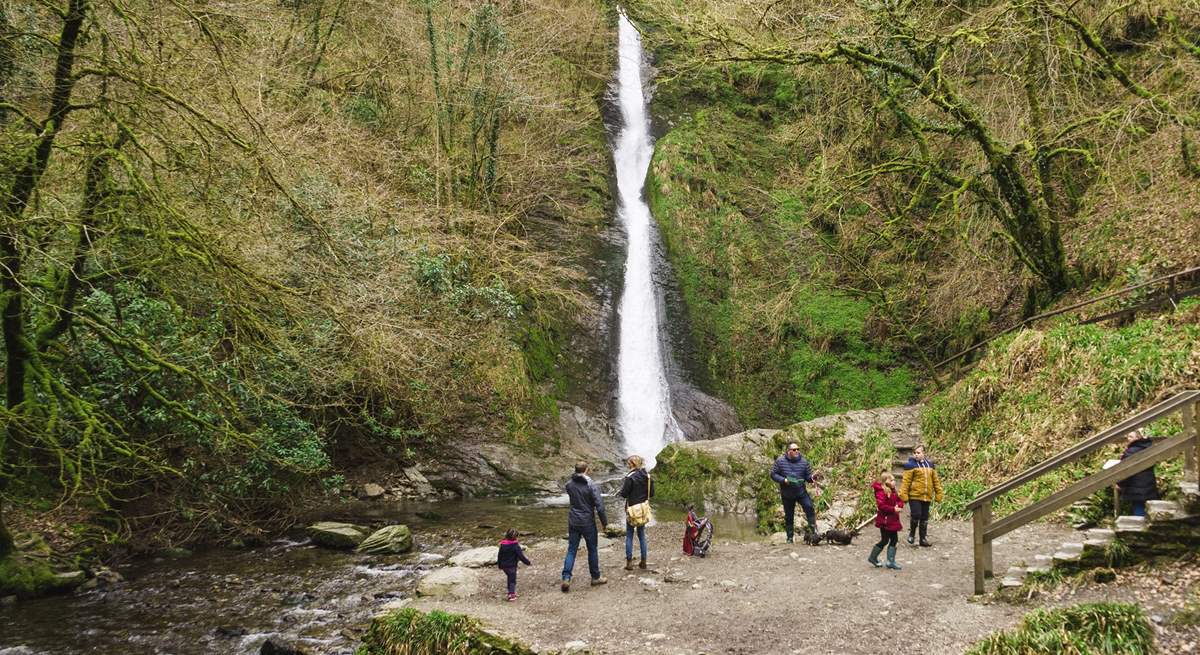 Dramatic Lydford Gorge.