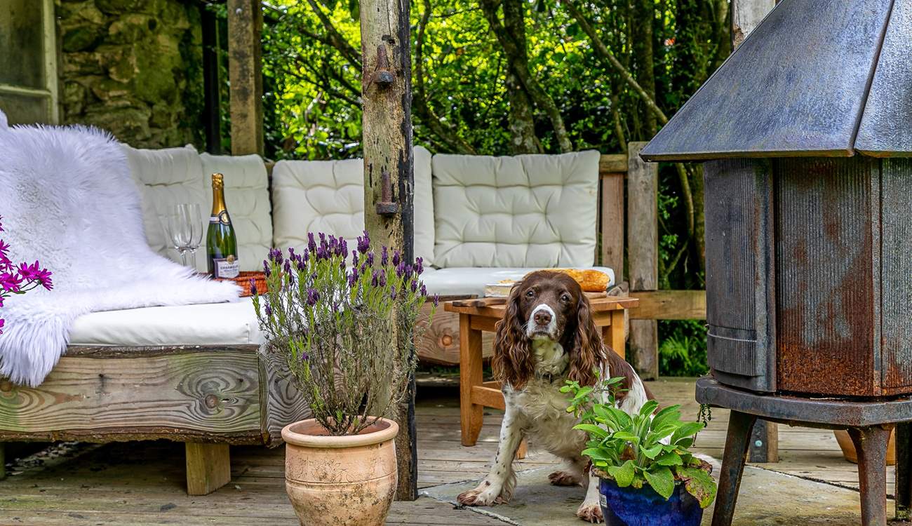 All are welcome to gather around the log-burner.