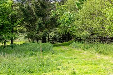 Head off down to Hargrids spot and toast some marshmallows as the sun sets! This is a communal rea so you might pass the owner or bump into guests from Horseshoe.