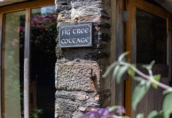 Welcome to Fig Tree Cottage.