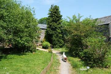 The path through the shared garden up to the cottages, each of which have their own patio.