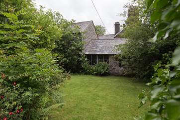 Looking down the shared garden.