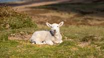 Cuteness overload!