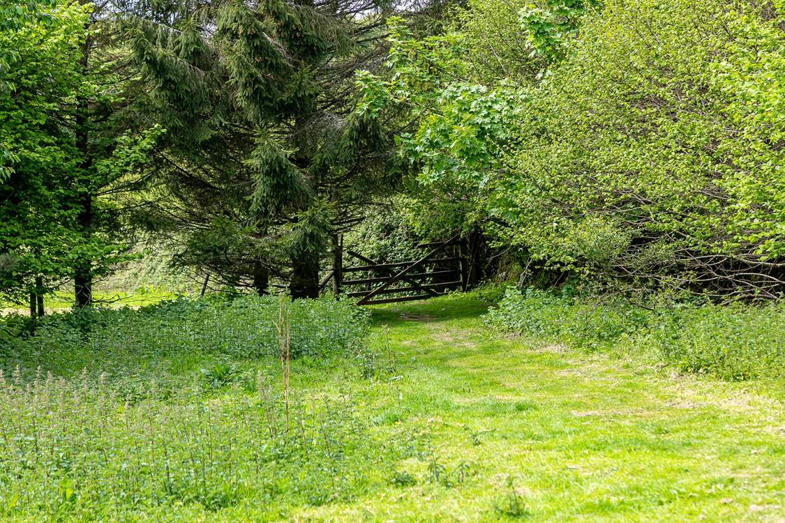 Head down to a rather special spot!