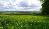 Wildlife abounds as the surrounding meadows are rewilded to “Make space for Nature” - Thumbnail Image