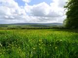 Wildlife abounds as the surrounding meadows are rewilded to “Make space for Nature”