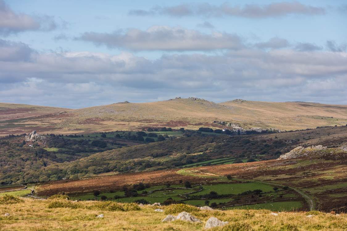 Dartmoor is simply stunning. A walker's paradise! 
