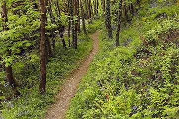 The path down towards the beach.