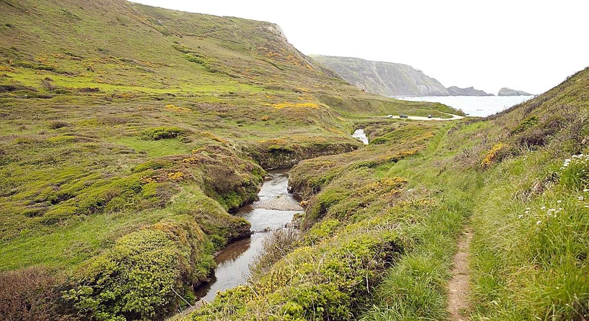 The path leads down to the beach.