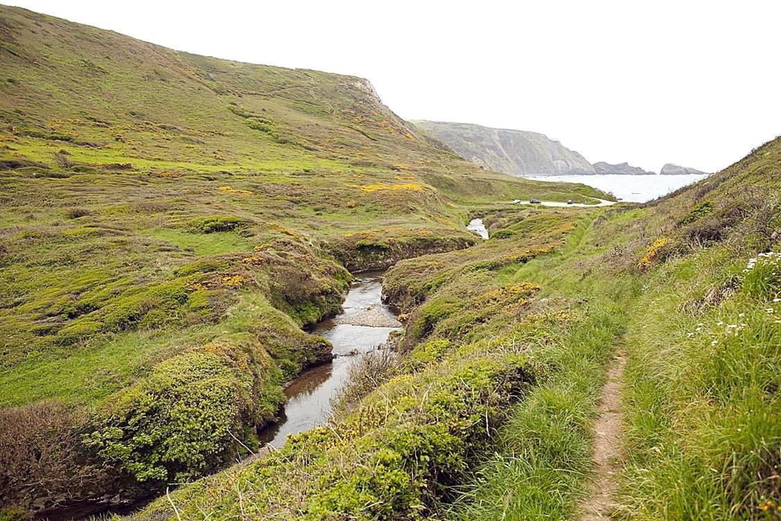 The path leads down to the beach.